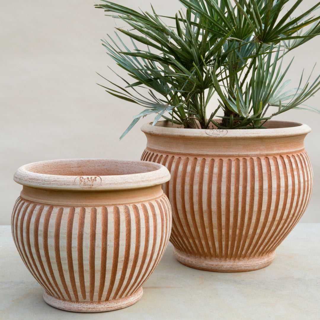 Piccolina Pot