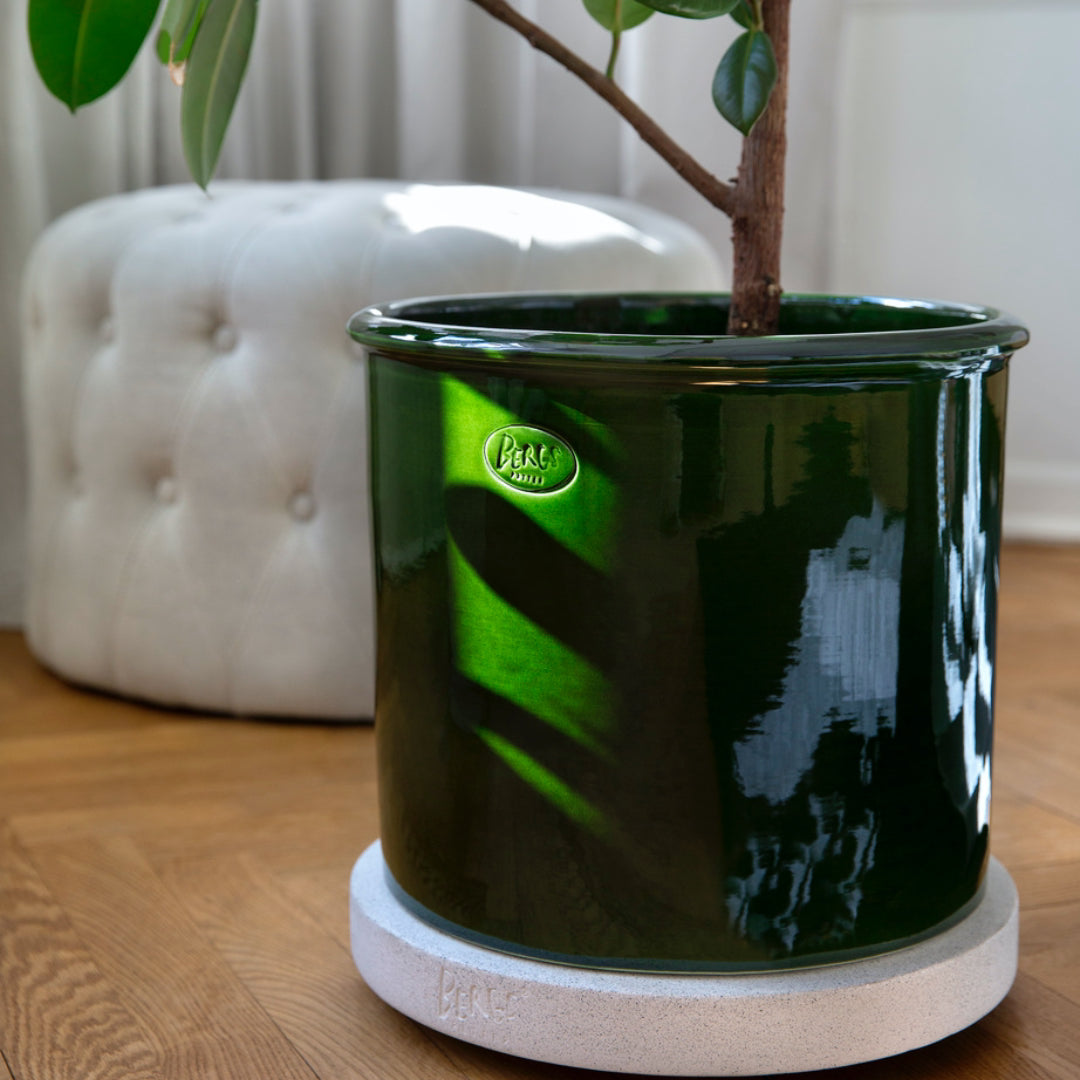 Rolling Stones Plant Trolley