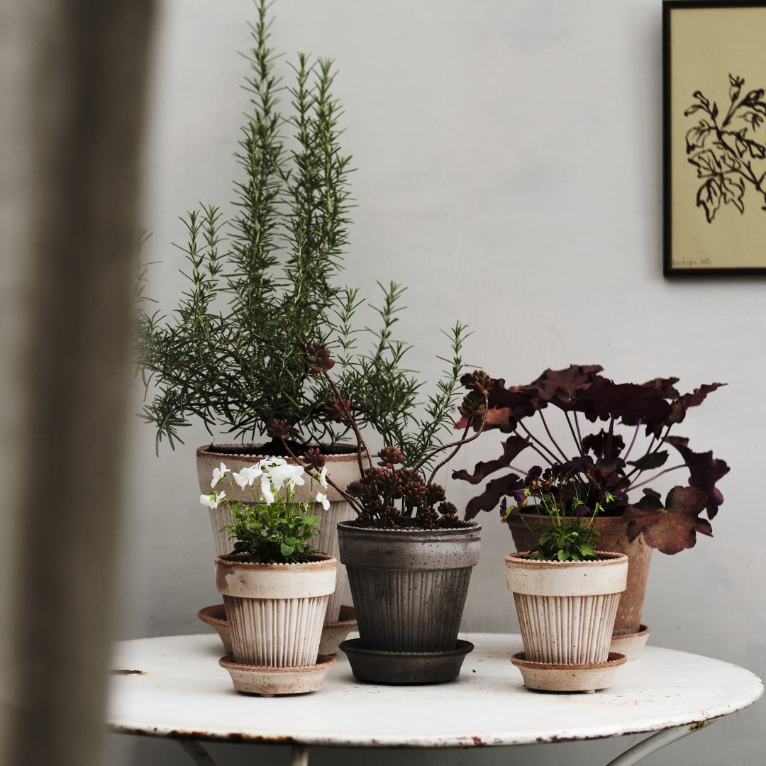 Simona Raw Pot - Grey