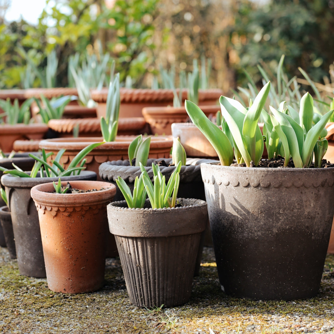 Simona Raw Pot - Grey