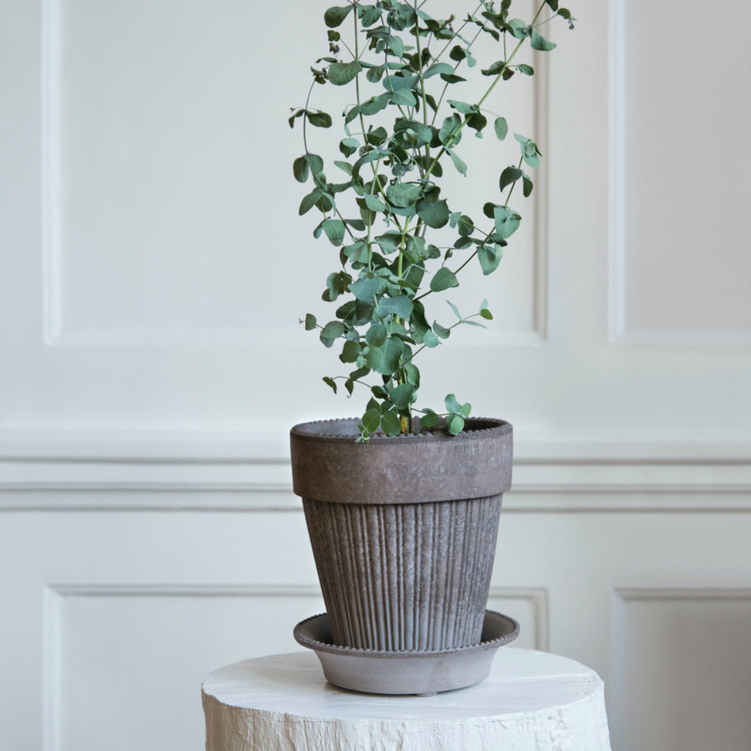 Simona Raw Pot - Grey