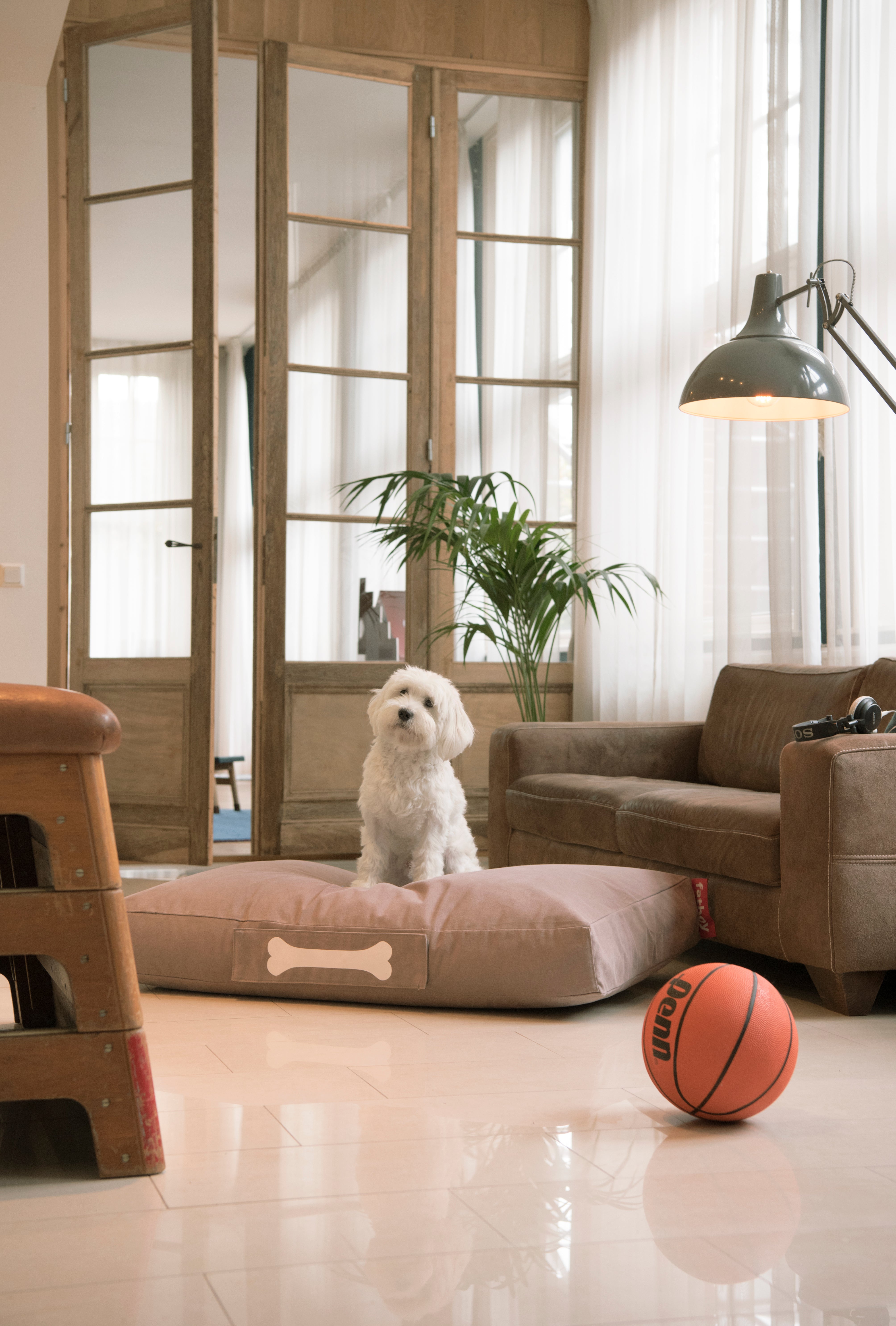 Doggielounge Stonewashed Large Dog Bed