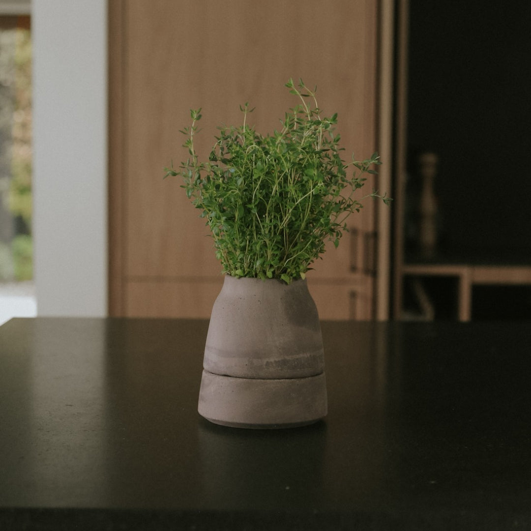 Bergs Potter Viva Self-Watering Herb Pot - Batten Home