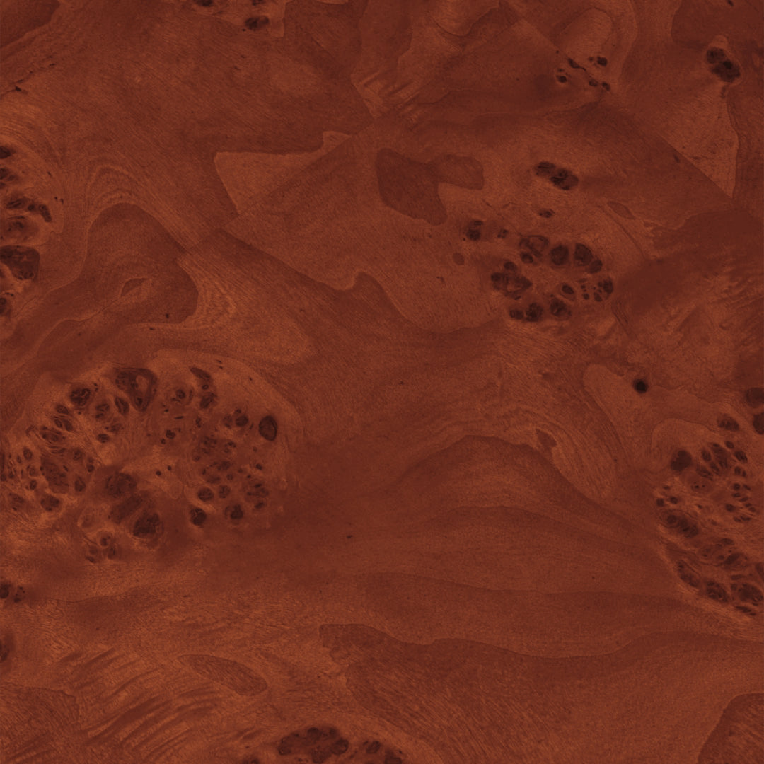 Burl Storage Coffee Table