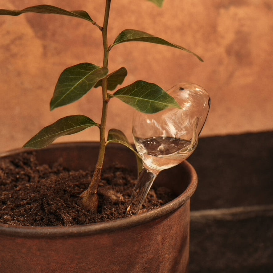 Mercury Water Globes - Small - Set of 2