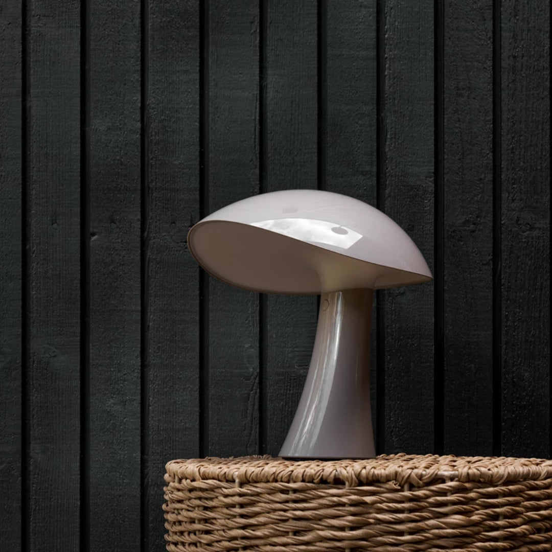 Rumee 220 Portable Lamp