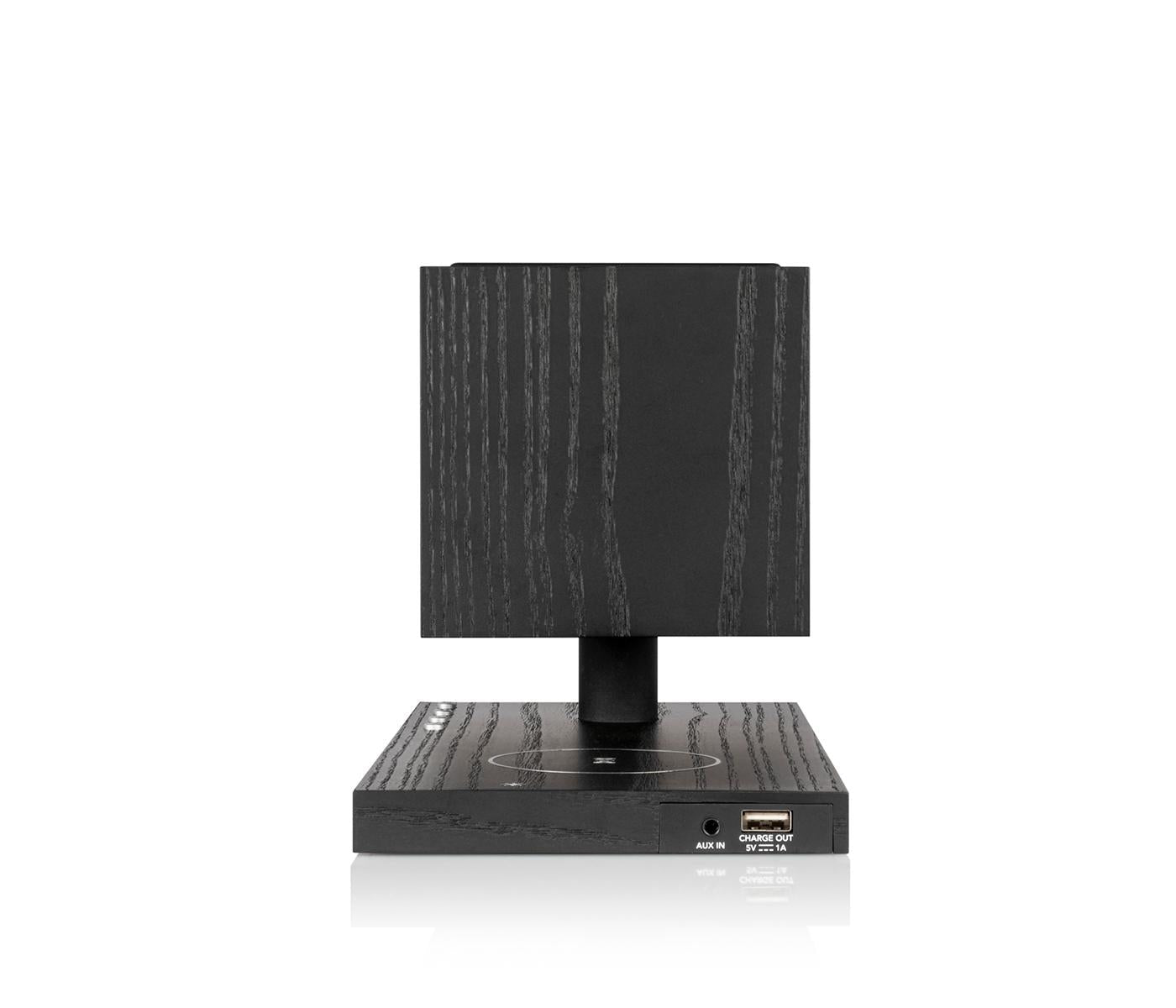 Tivoli Audio Revive Bluetooth Speaker - Batten Home
