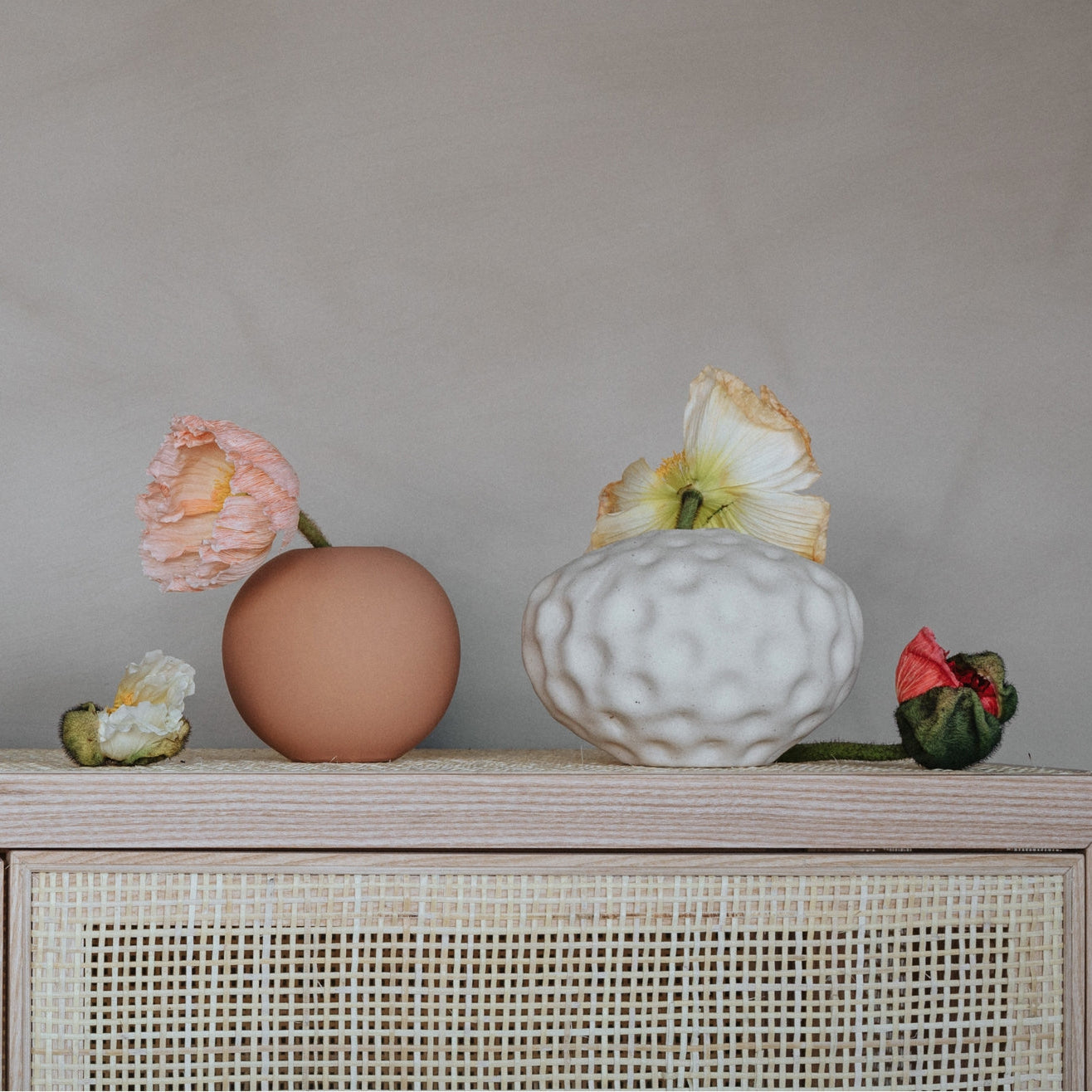 Seedpod Small in Vanilla - Batten Home