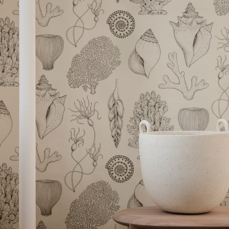 Ferm LivingKatie Scott Shells Wallpaper Off White - Batten Home