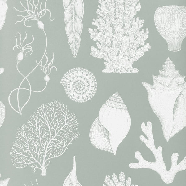 Ferm LivingKatie Scott Wallpaper Shells Aqua - Batten Home