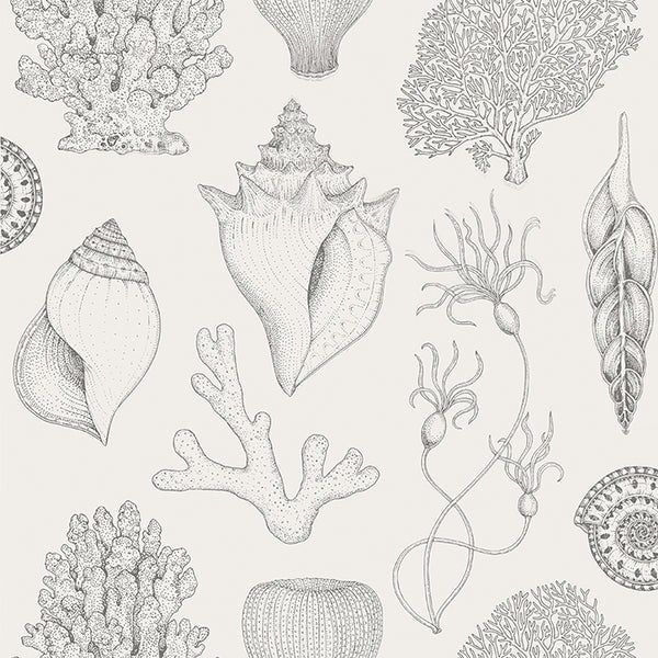 Cott Shells Ferm Living Wallpaper | Modern Wallpaper Design